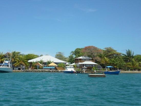 Wikkid Resort Dixon Cove Esterno foto