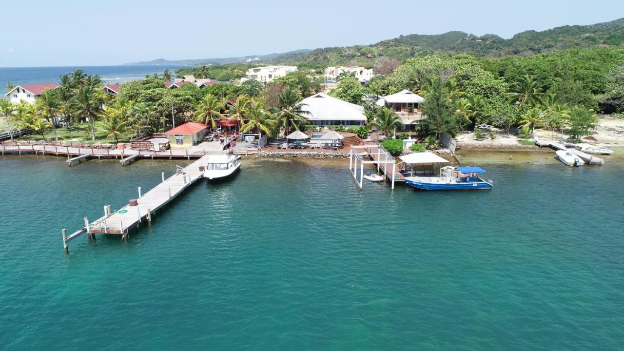 Wikkid Resort Dixon Cove Esterno foto