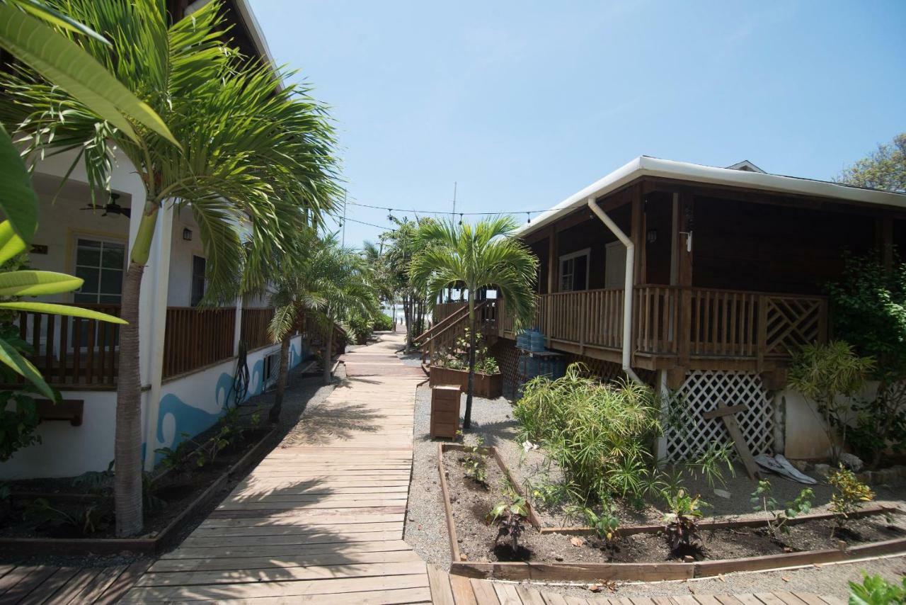 Wikkid Resort Dixon Cove Esterno foto