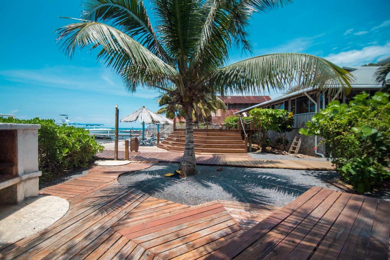 Wikkid Resort Dixon Cove Esterno foto